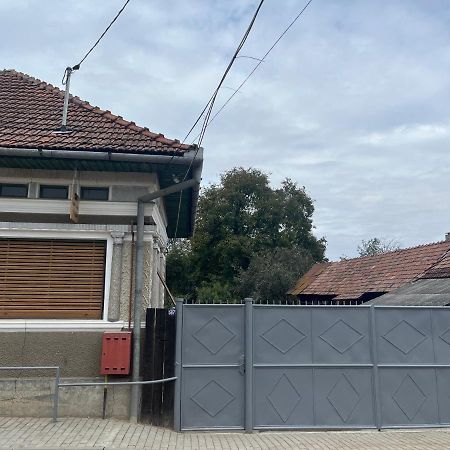 Casa Lucian Apartment Cîrţişoara Exterior foto