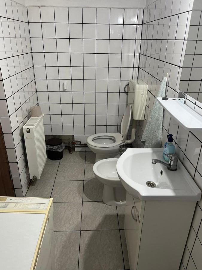 Casa Lucian Apartment Cîrţişoara Exterior foto