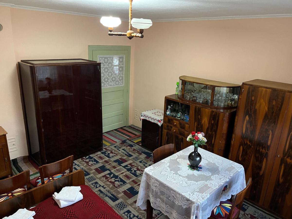 Casa Lucian Apartment Cîrţişoara Exterior foto