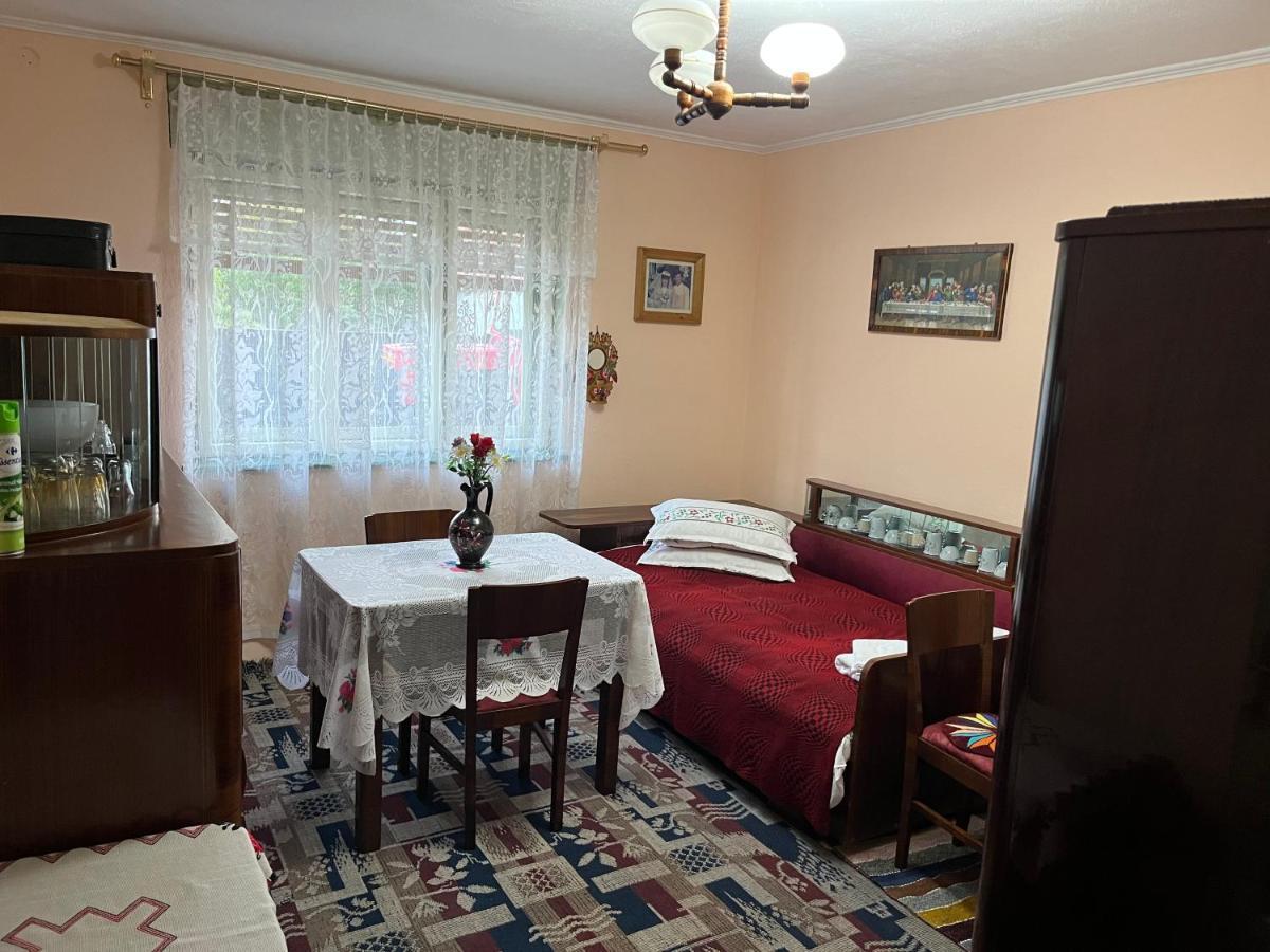 Casa Lucian Apartment Cîrţişoara Exterior foto