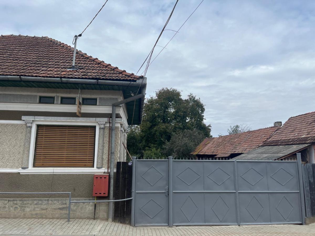 Casa Lucian Apartment Cîrţişoara Exterior foto