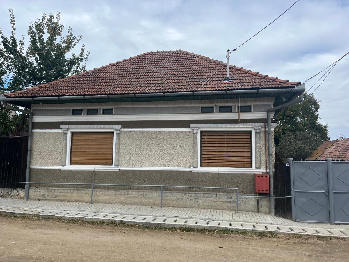 Casa Lucian Apartment Cîrţişoara Exterior foto