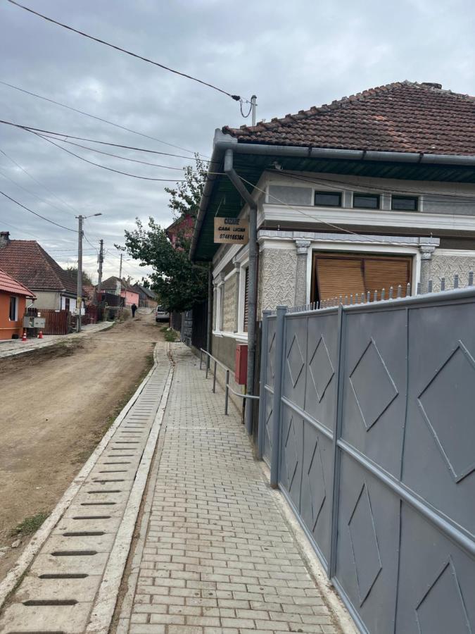 Casa Lucian Apartment Cîrţişoara Exterior foto